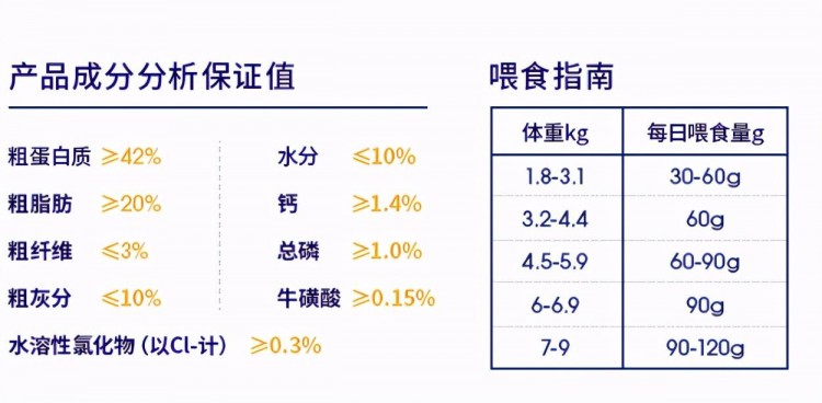 金吉拉猫吃什么猫粮好怎么挑选好猫粮适合金吉拉吃的猫粮推荐